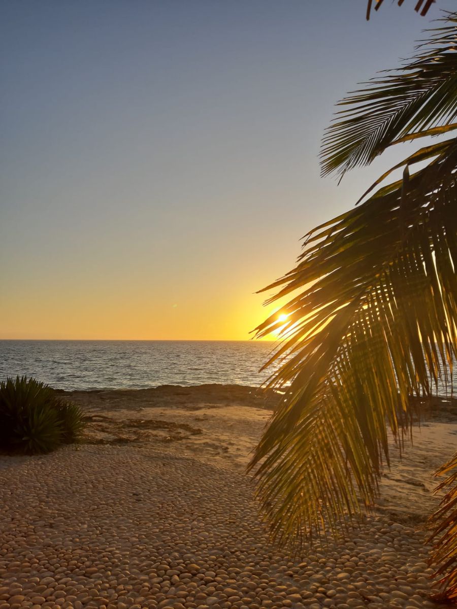 IMG-20230403-WA0072 - Kopie.jpg