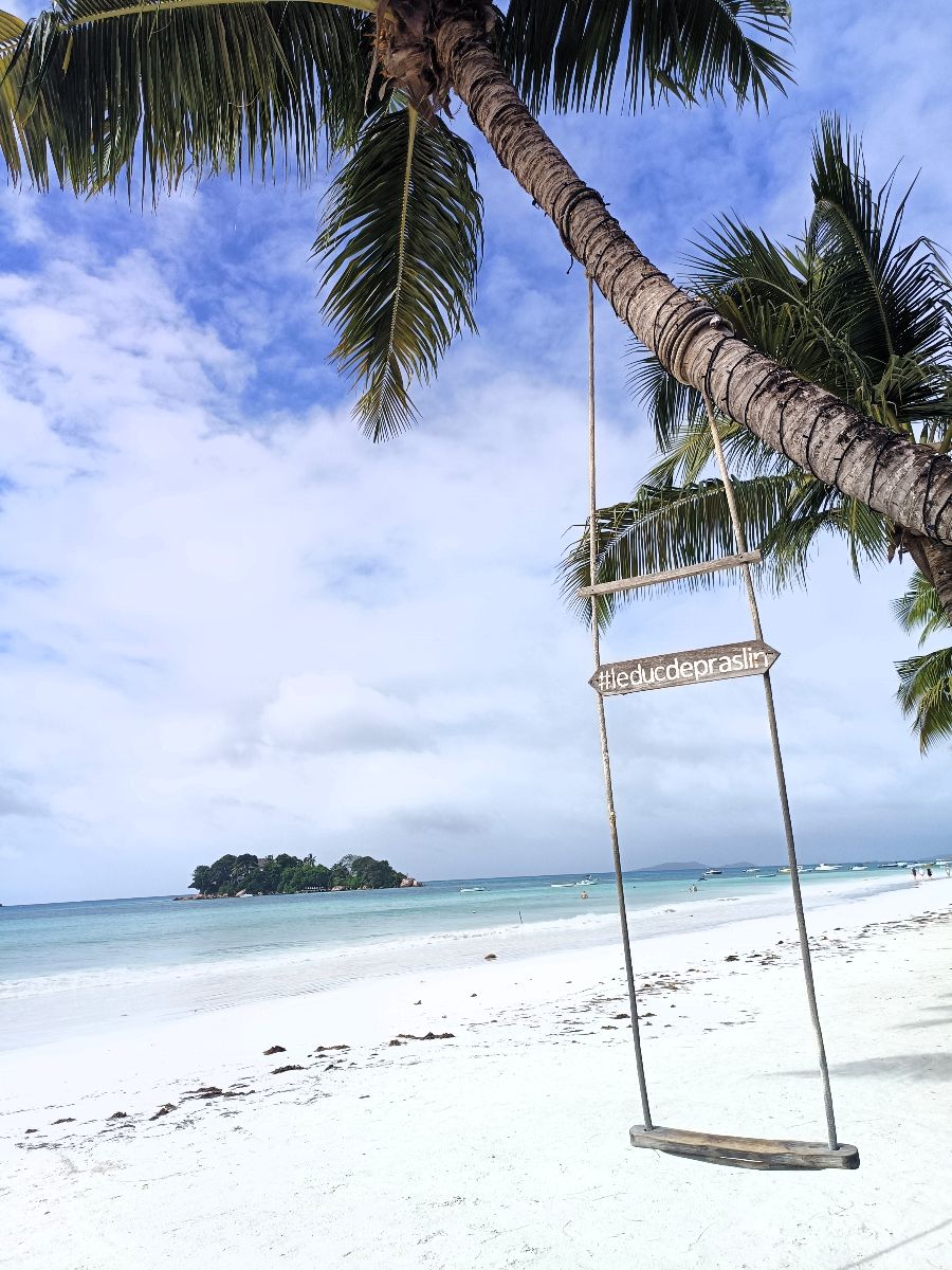 Schaukel Duc du Praslin.jpg