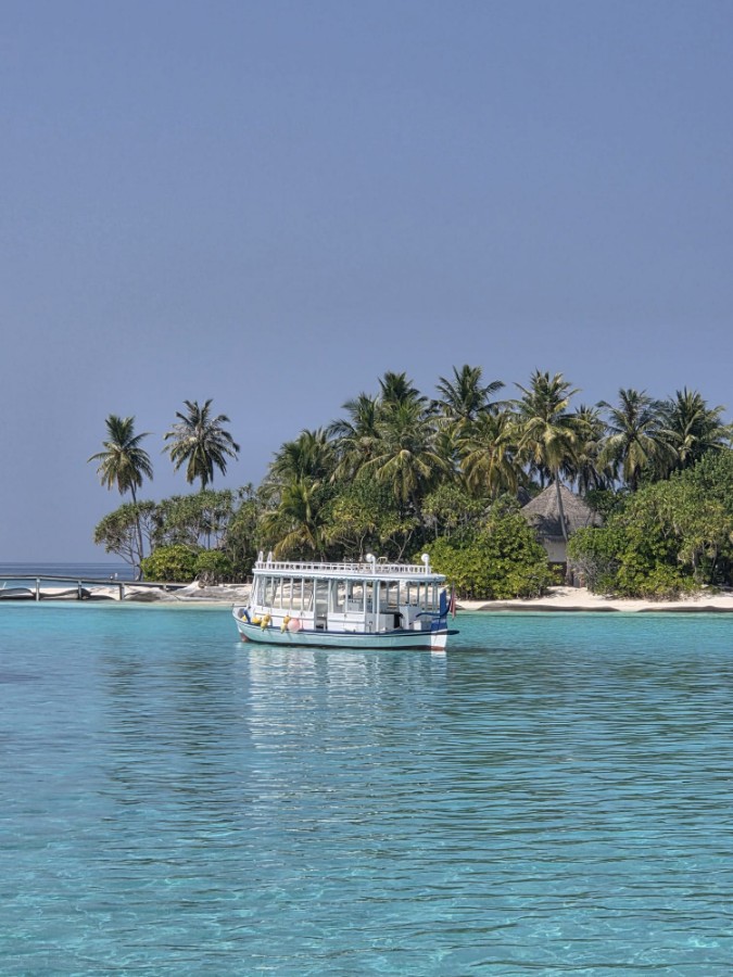 WhatsApp Image 2026-03-08 at 11.45.55 (2).jpeg