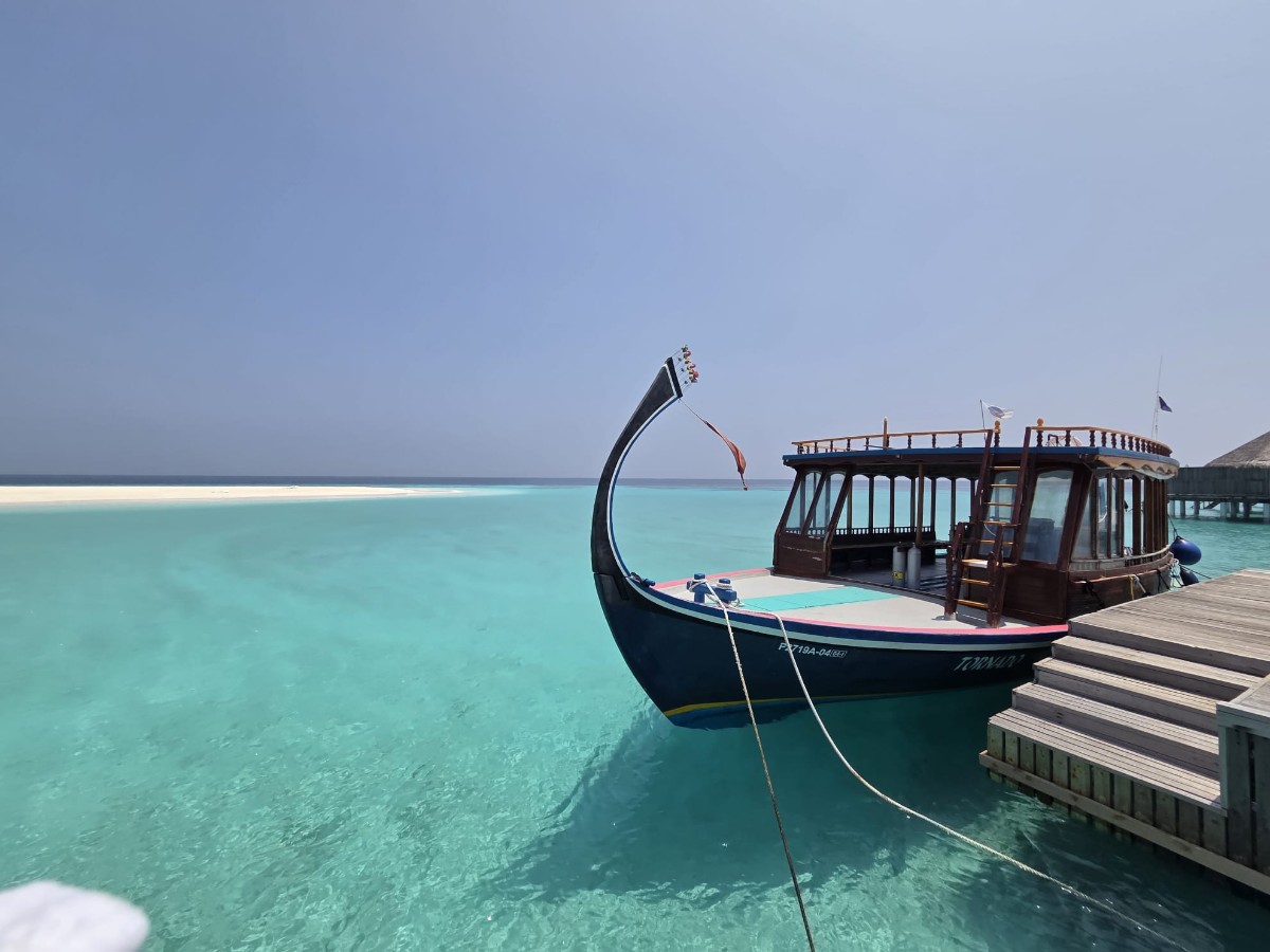 WhatsApp Image 2026-03-08 at 11.45.58.jpeg