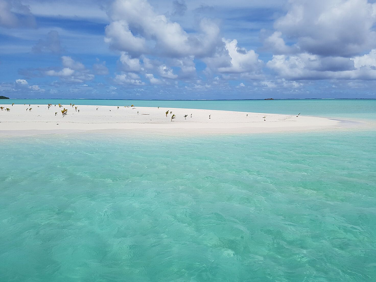 CHB Cook Island Aitutaki.jpg