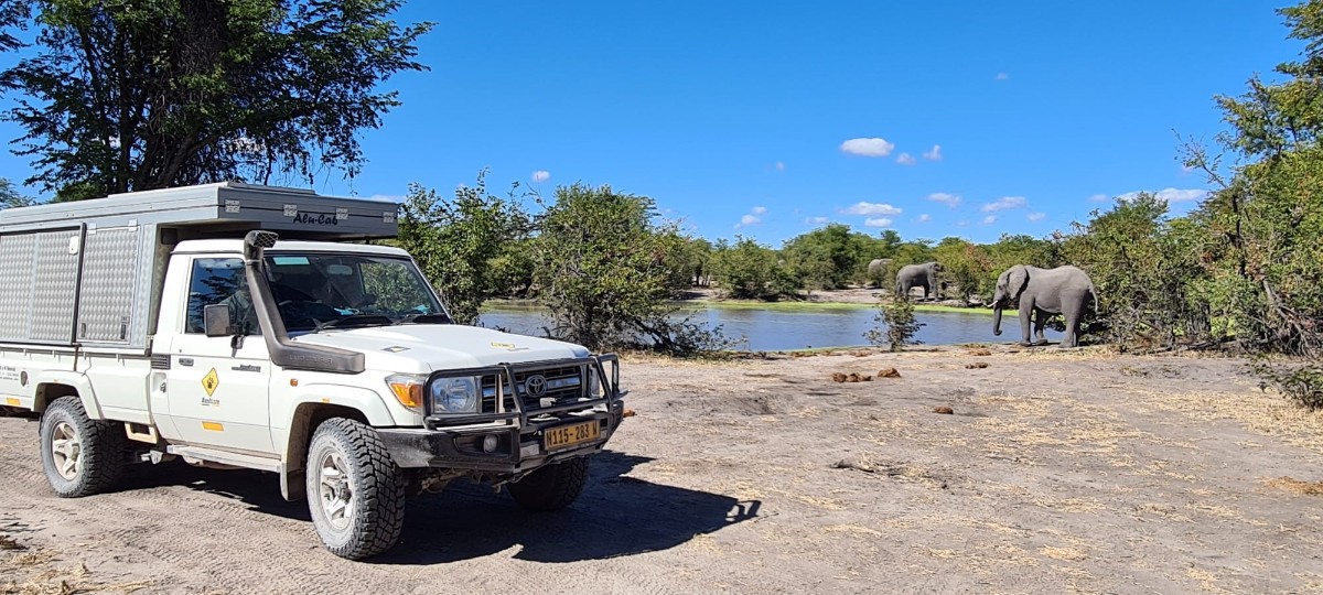 Camper mit Elefanten.jpg