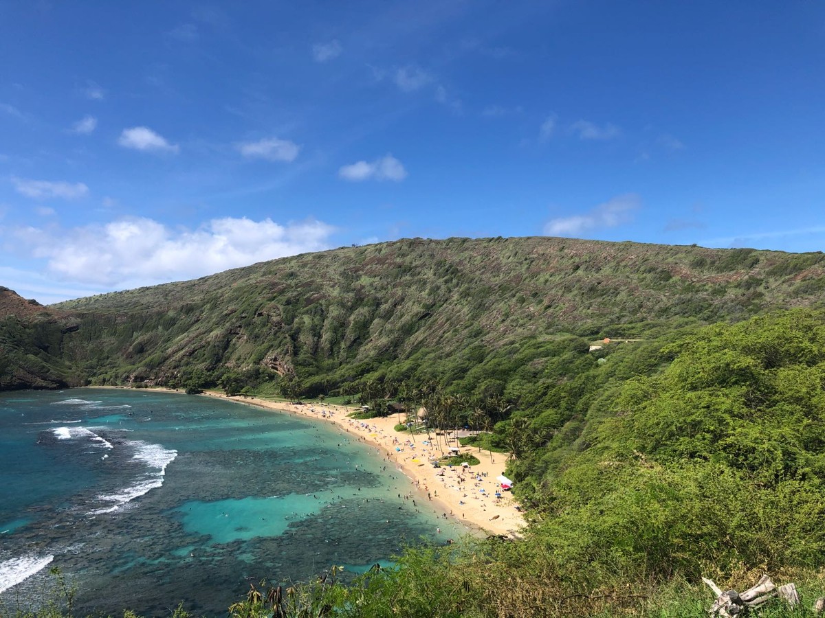 Hawaii 1.jpg