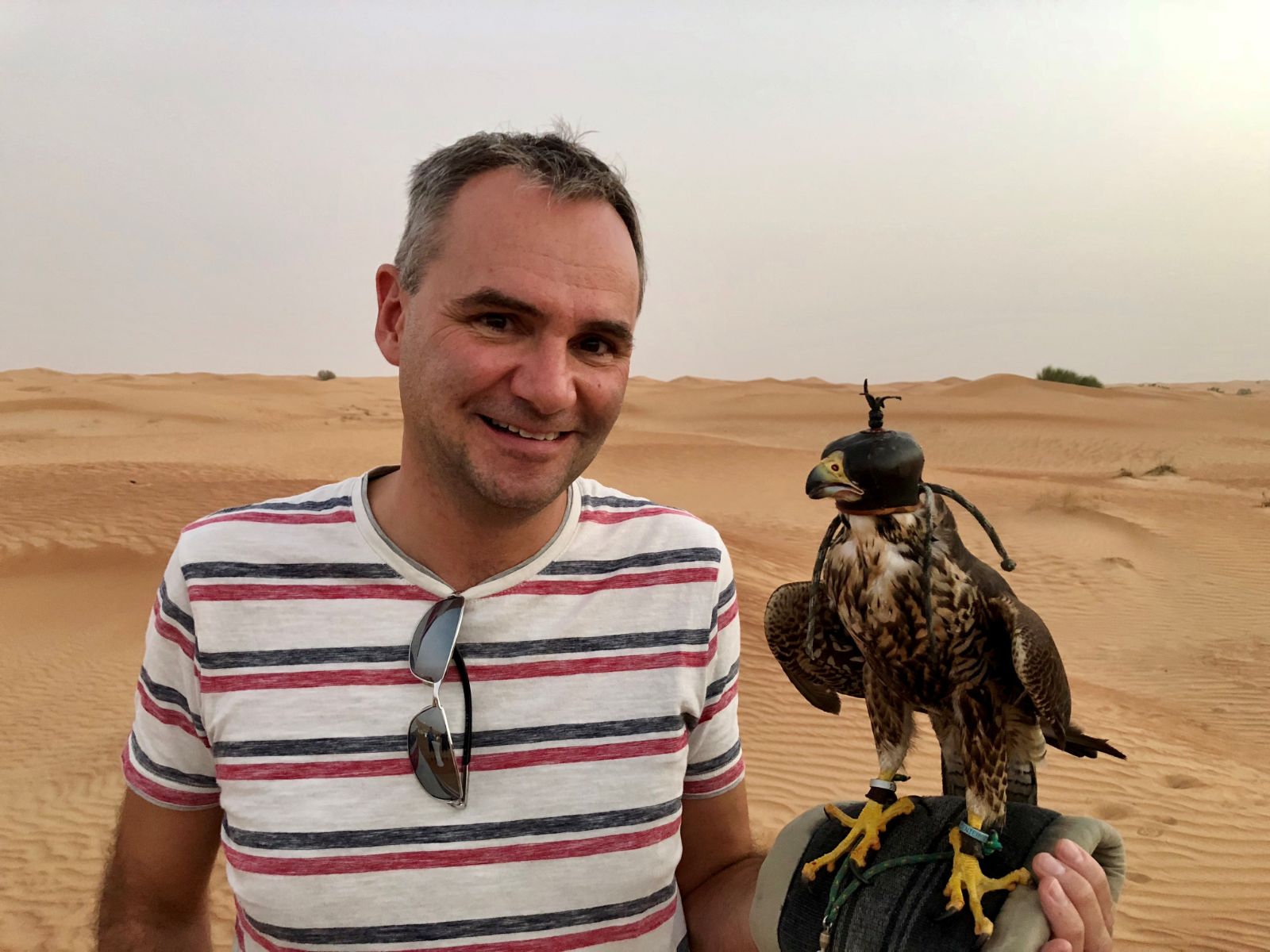 Mhe mit Falke nah.jpg