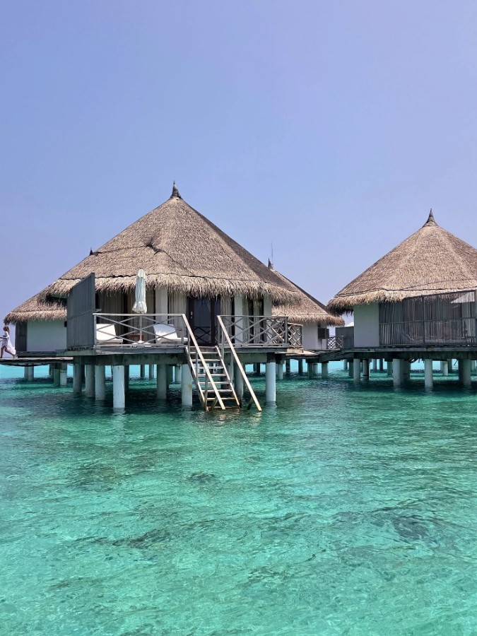 WhatsApp Image 2026-03-08 at 10.22.45.jpeg