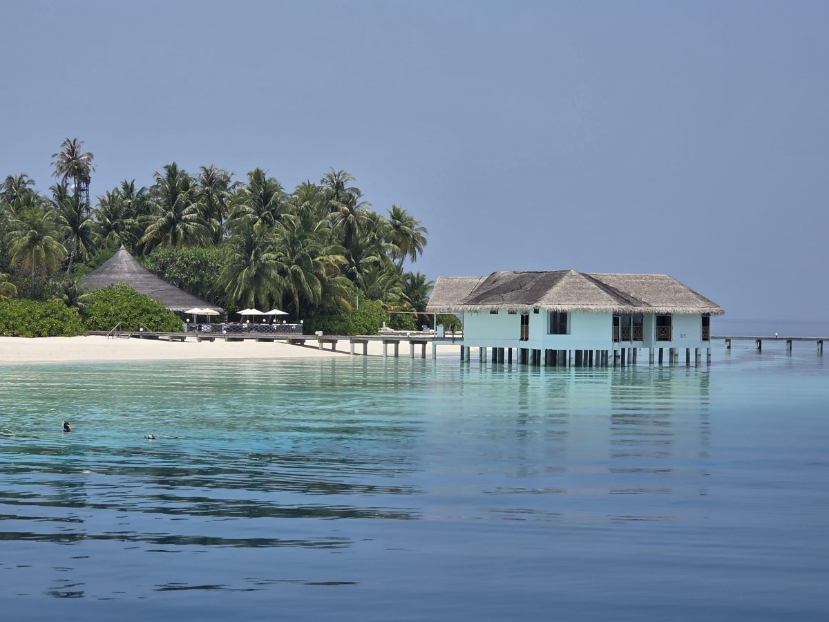 WhatsApp Image 2026-03-08 at 11.45.55 (1).jpeg