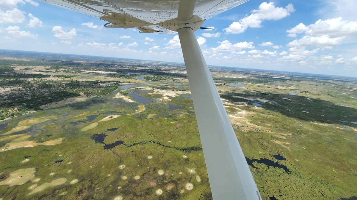 Flugansicht mit Flügel.jpg