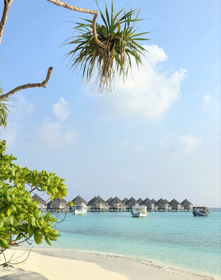 WhatsApp Image 2026-03-08 at 10.22.44.jpeg