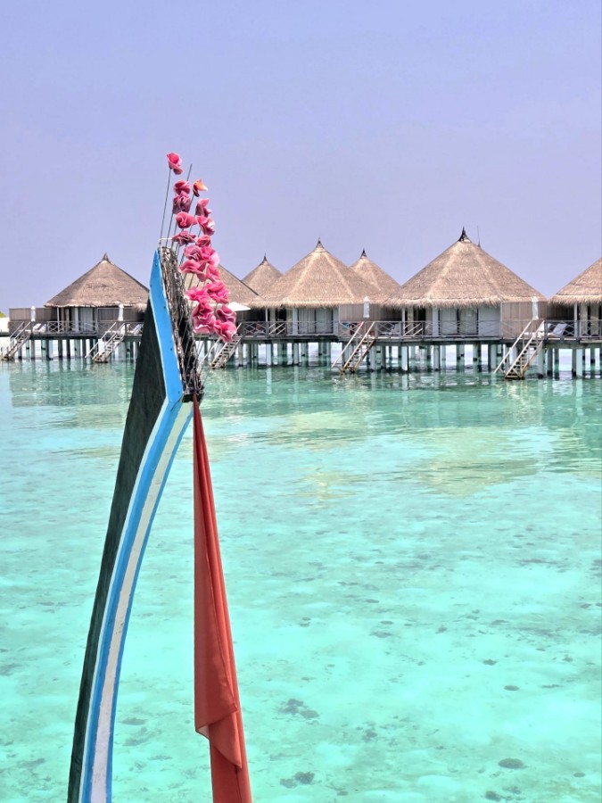 WhatsApp Image 2026-03-08 at 10.22.47 (2).jpeg