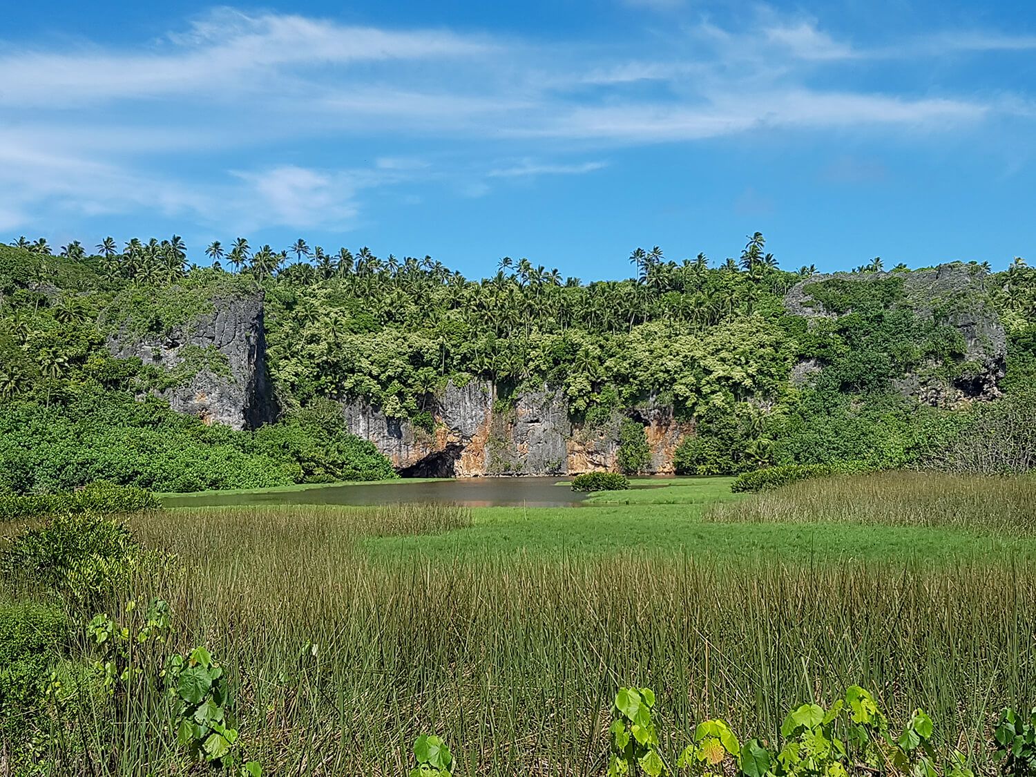 CHB Cook Island natur.jpg