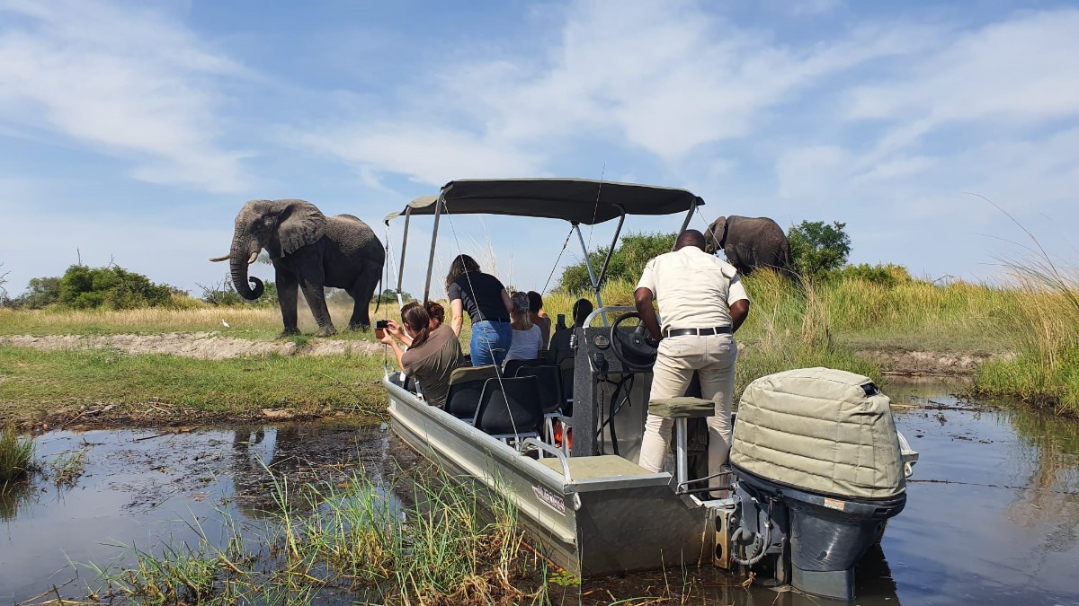 Boot und Elefanten.jpg