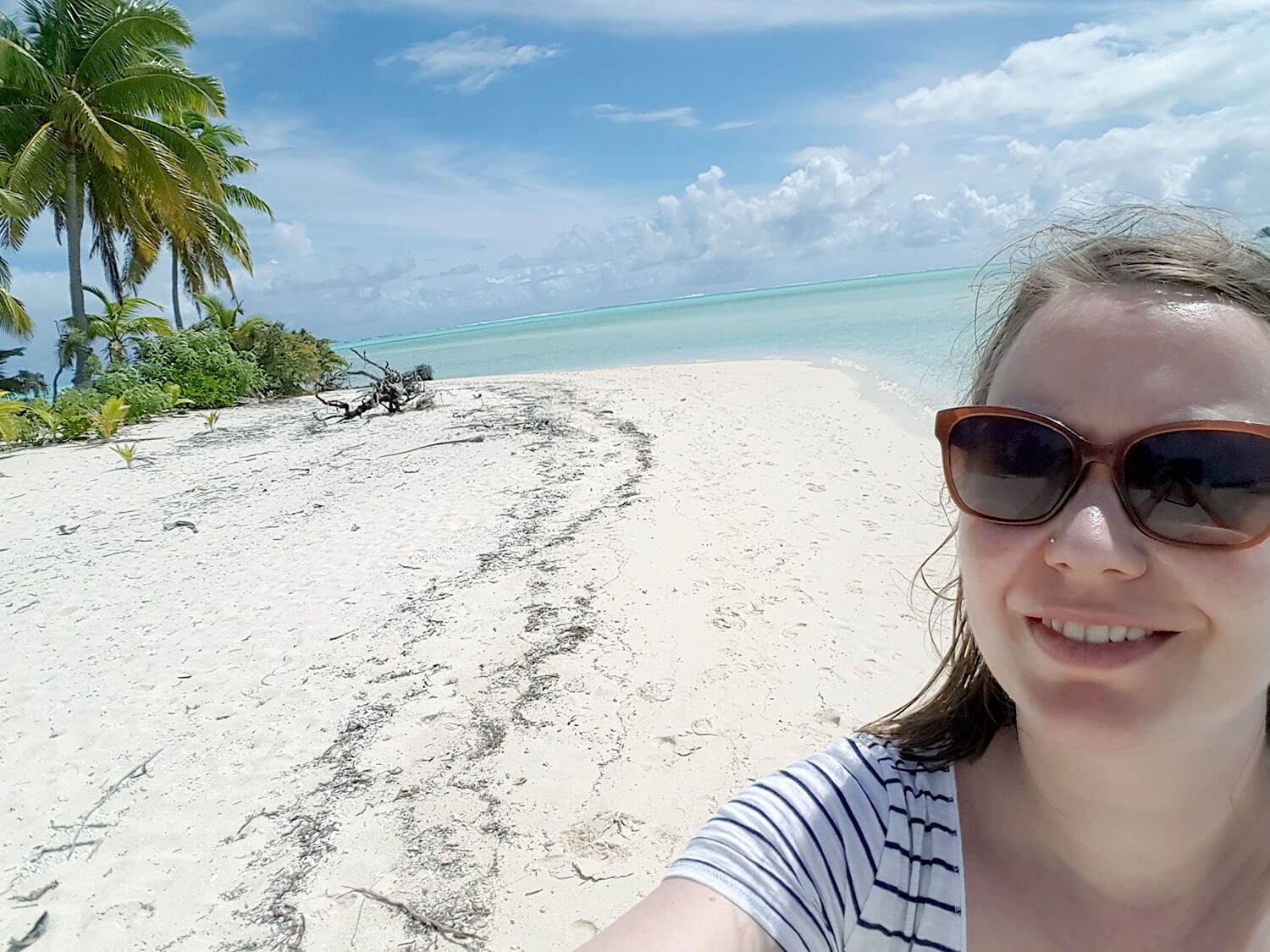 CHB Cook Island chb.jpg