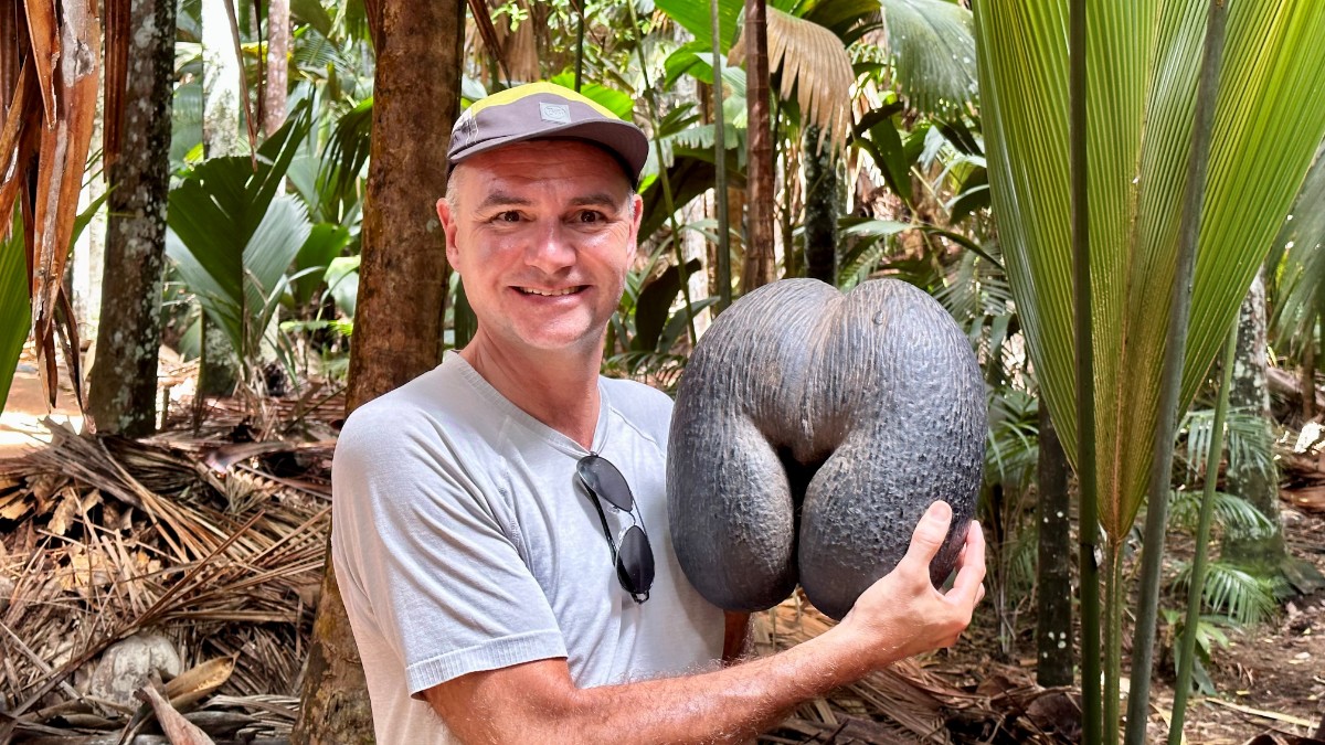 mhe mit Coco de Mer-vallee de mai.jpg