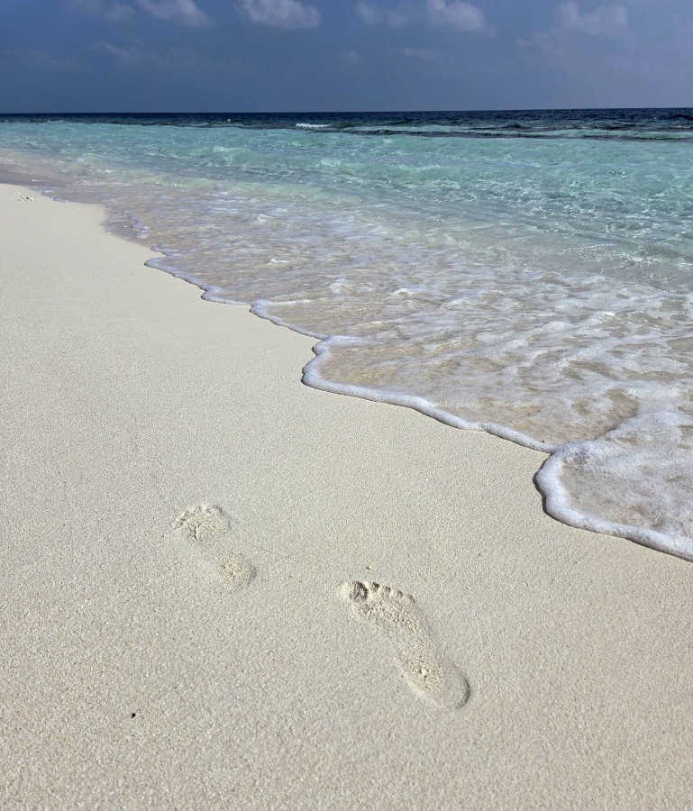 WhatsApp Image 2026-03-12 at 07.23.41 (2).jpeg