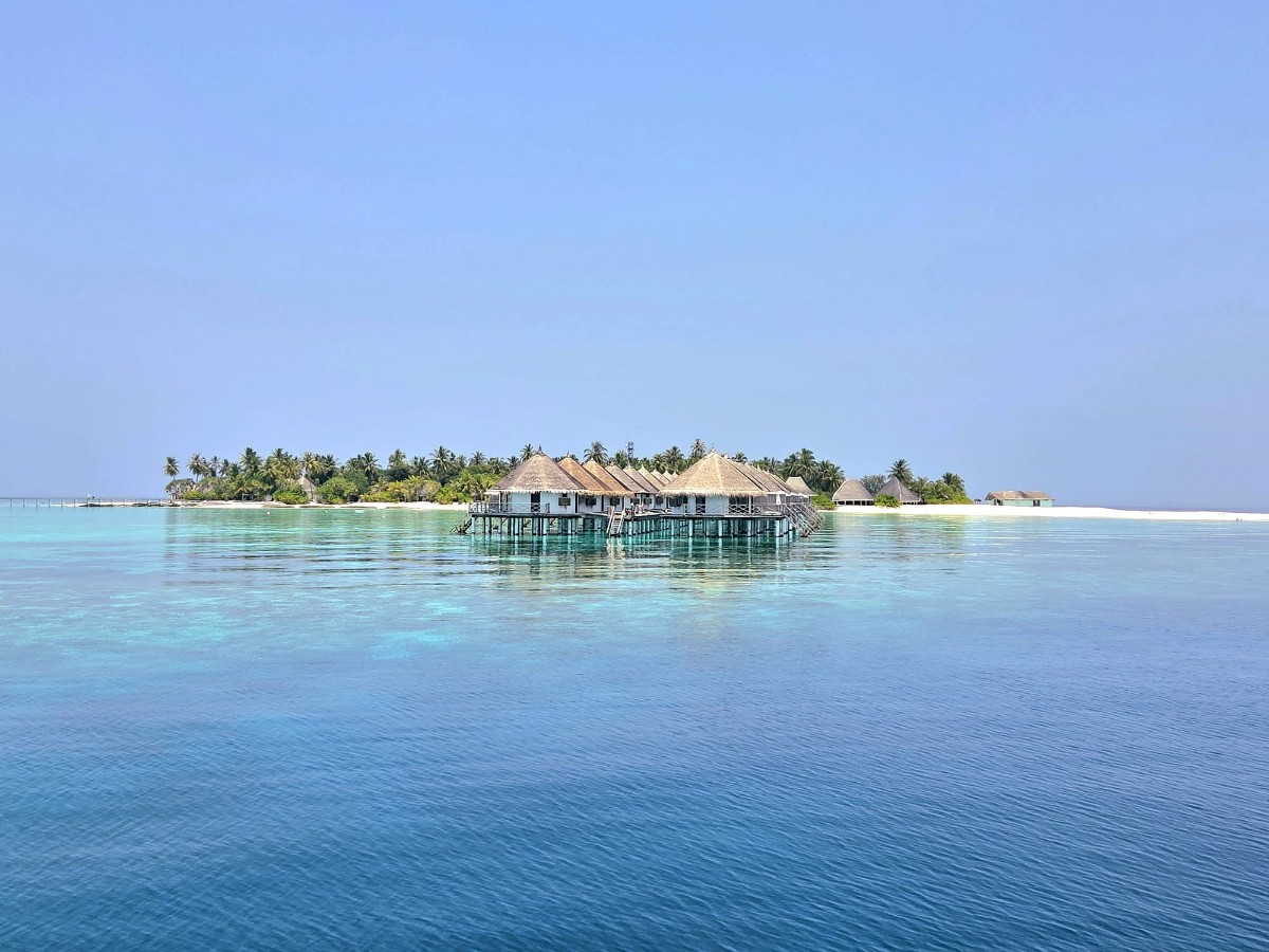 WhatsApp Image 2026-03-08 at 10.22.48.jpeg