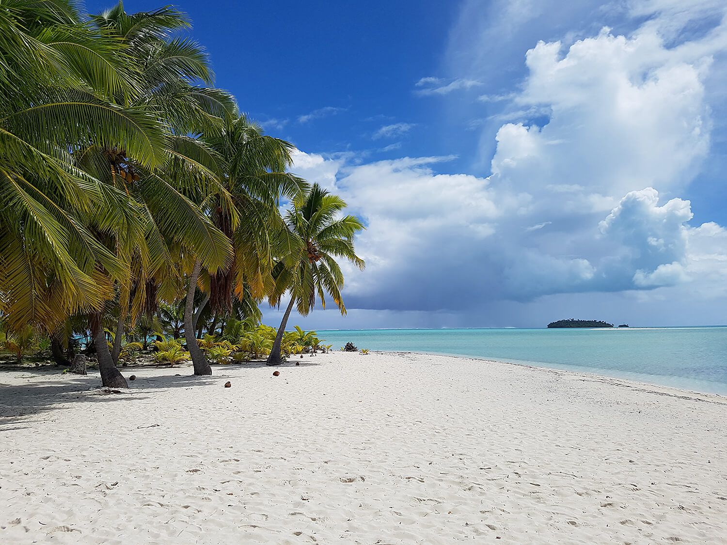 CHB Cook Island Strand.jpg