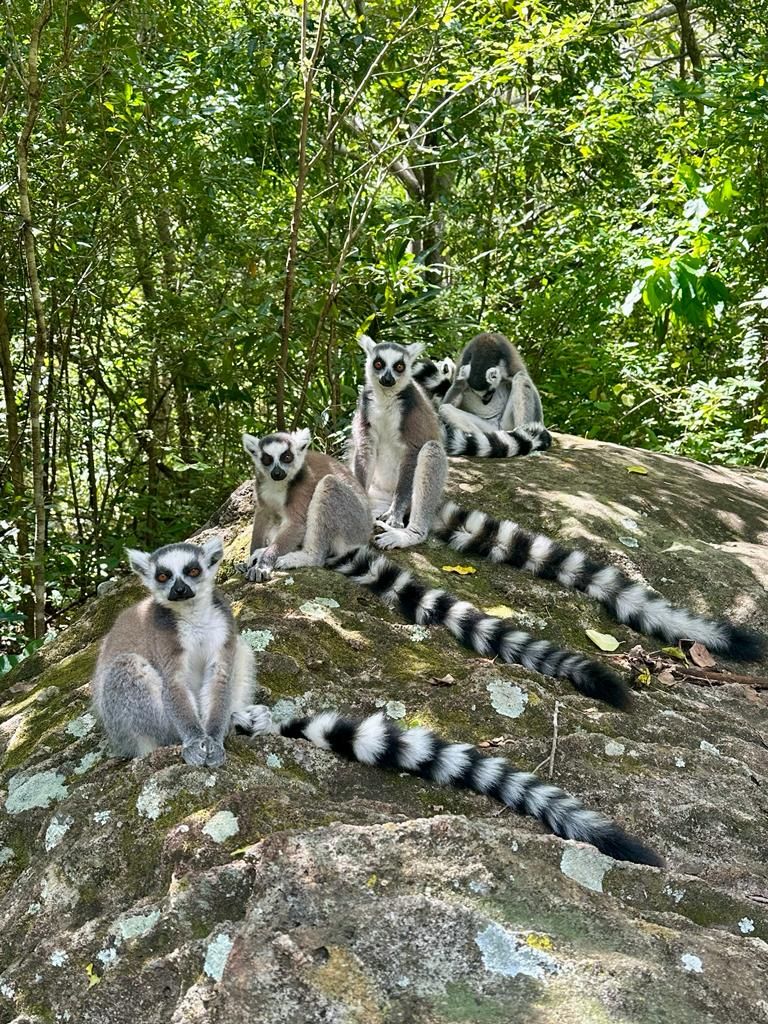 IMG-20230328-WA0026 - Kopie.jpg