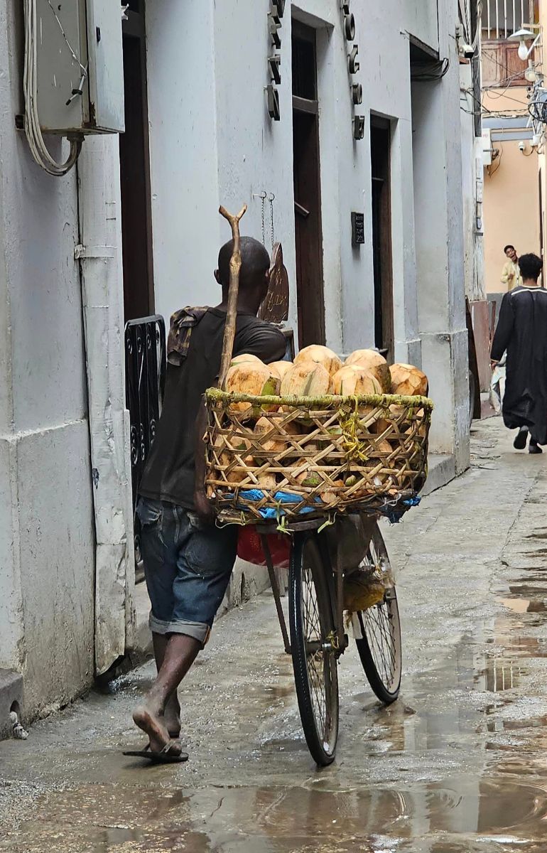 Sansibar Kokosnuss2.jpg