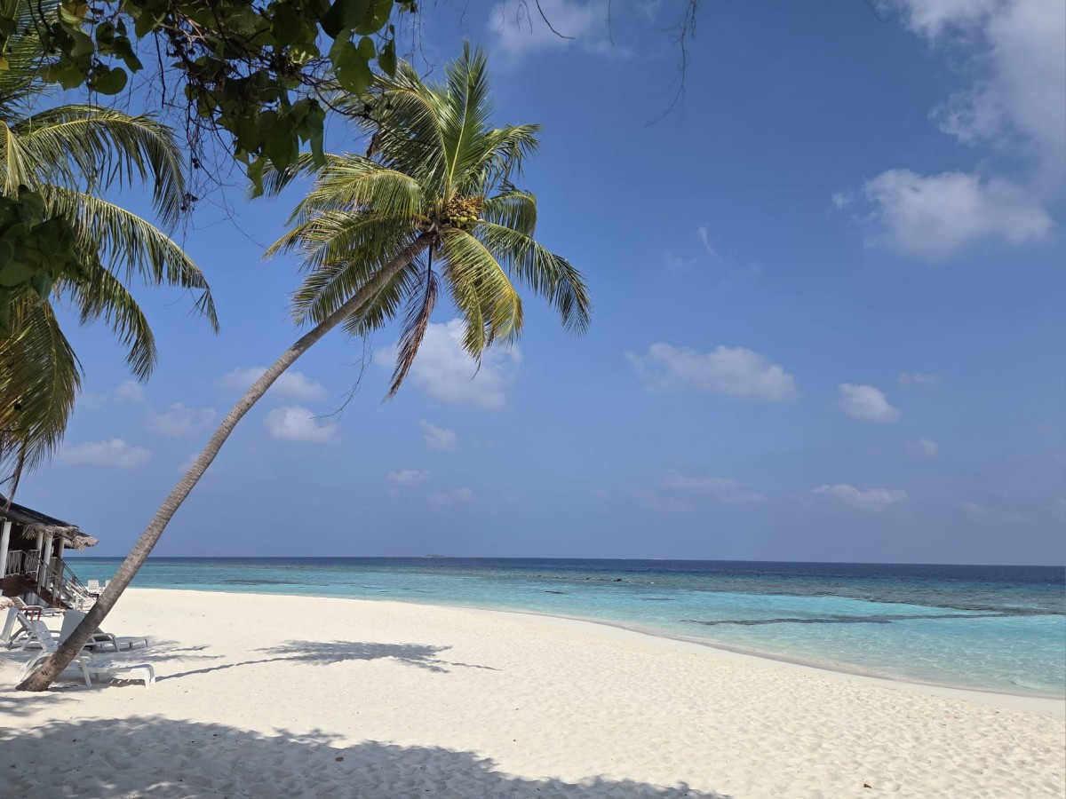 WhatsApp Image 2026-03-12 at 07.23.41 (1).jpeg