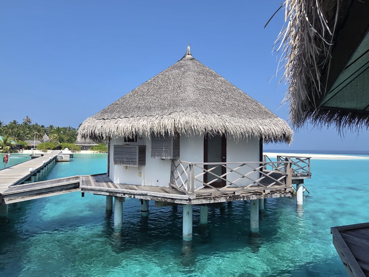 WhatsApp Image 2026-03-08 at 10.22.45 (1).jpeg