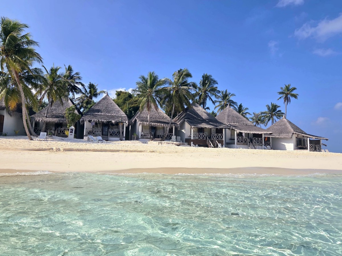 WhatsApp Image 2026-03-12 at 07.23.41.jpeg