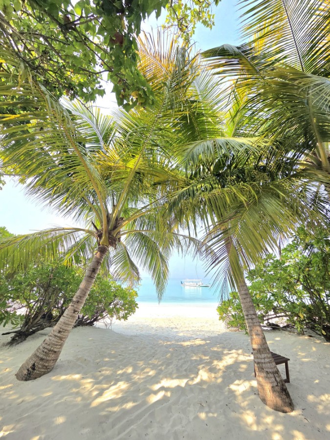 WhatsApp Image 2026-03-12 at 07.23.43 (2).jpeg