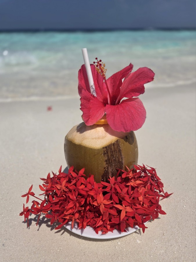 WhatsApp Image 2026-03-12 at 07.23.42 (1).jpeg