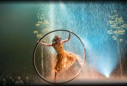 Cirque du Soleil Luzia.JPG