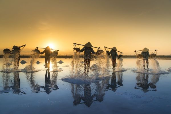 Vietnam-Fischer-Salz.jpg